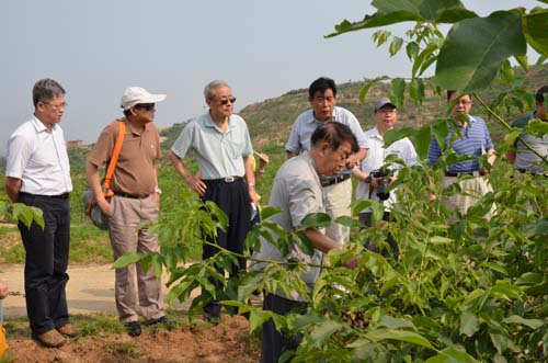 调研组在石家庄平山县葫芦峪考察农业综合开发项目-1.jpg